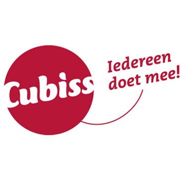 Cubiss, logo