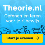 Theorie.nl, logo